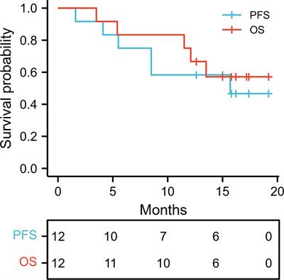 Combination of Sorafenib, Camrelizumab, Transcatheter Arterial Chemoembolization, and Stereotactic Body Radiation Therapy as a Novel Downstaging Strategy in Advanced Hepatocellular Carcinoma With Portal Vein Tumor Thrombus: A Case Series Study